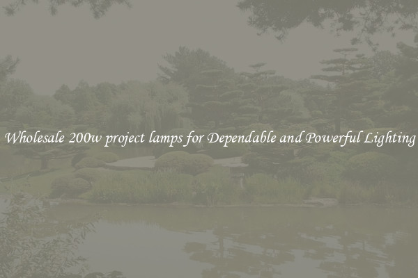 Wholesale 200w project lamps for Dependable and Powerful Lighting
