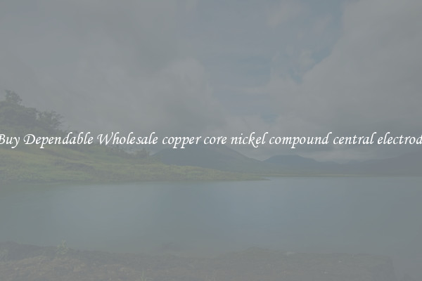 Buy Dependable Wholesale copper core nickel compound central electrode
