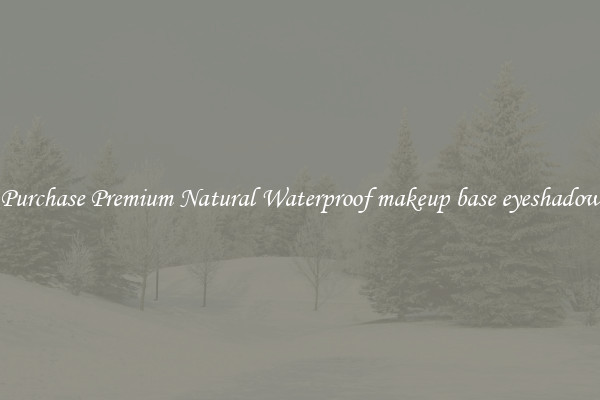 Purchase Premium Natural Waterproof makeup base eyeshadow