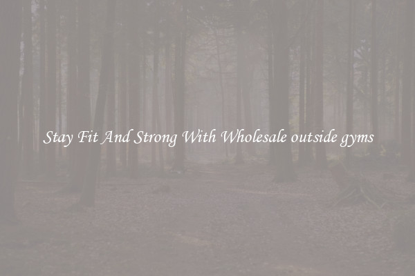 Stay Fit And Strong With Wholesale outside gyms
