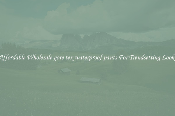 Affordable Wholesale gore tex waterproof pants For Trendsetting Looks