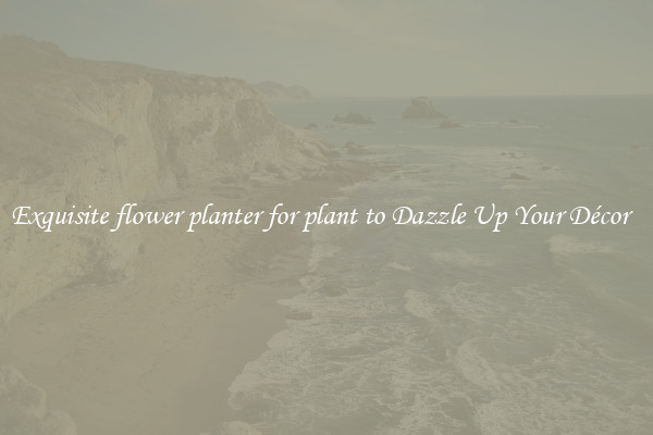 Exquisite flower planter for plant to Dazzle Up Your Décor  