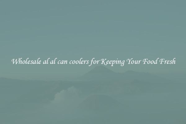 Wholesale al al can coolers for Keeping Your Food Fresh