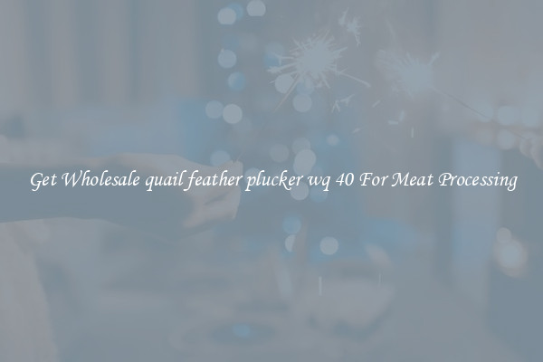 Get Wholesale quail feather plucker wq 40 For Meat Processing