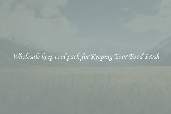 Wholesale keep cool pack for Keeping Your Food Fresh