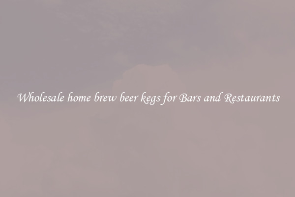 Wholesale home brew beer kegs for Bars and Restaurants