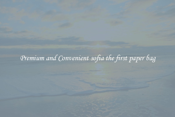 Premium and Convenient sofia the first paper bag