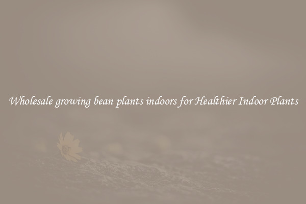 Wholesale growing bean plants indoors for Healthier Indoor Plants