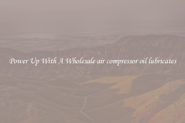 Power Up With A Wholesale air compressor oil lubricates