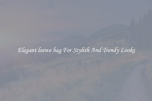 Elegant loewe bag For Stylish And Trendy Looks