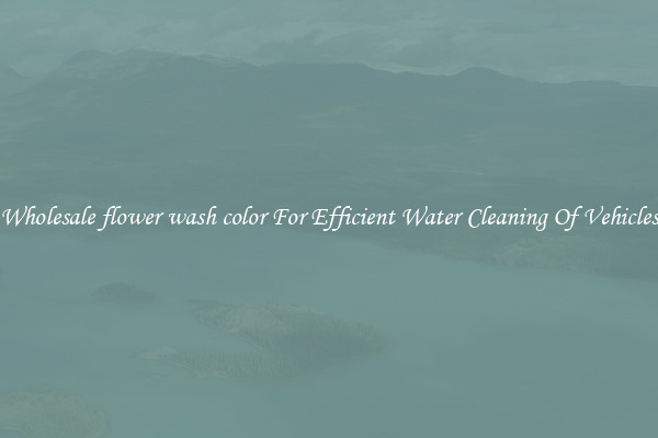 Wholesale flower wash color For Efficient Water Cleaning Of Vehicles